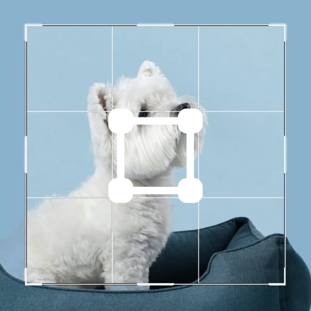 Zuschneiden, Größe ändern & Drehen